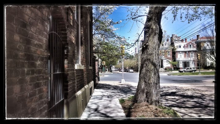 Diligence, part 2, Tree