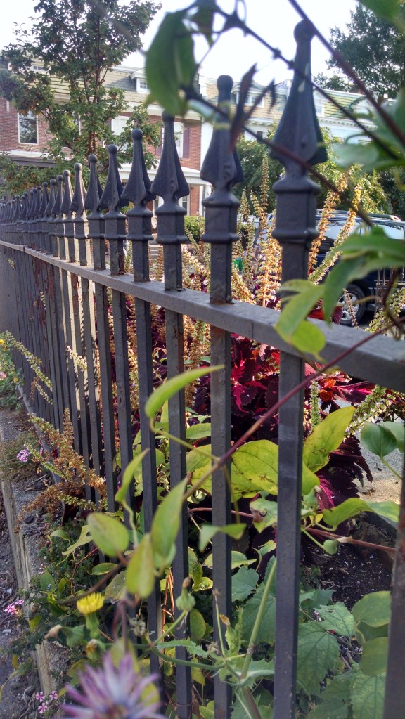 Life is lived forward and understood in reverse.