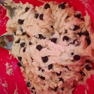 Freshly baked homemade chocolate chip cookies