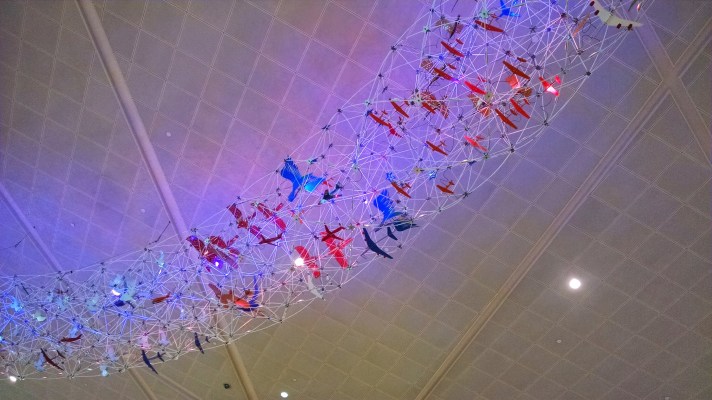 Look up. You may not know what you might be missing.