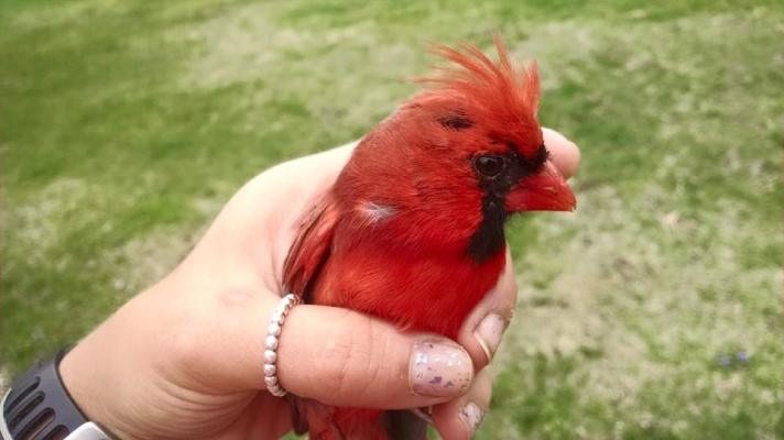 Aubrey Eicher - Life