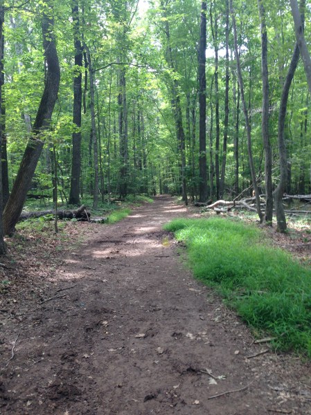 Aubrey Eicher - The Calf Path