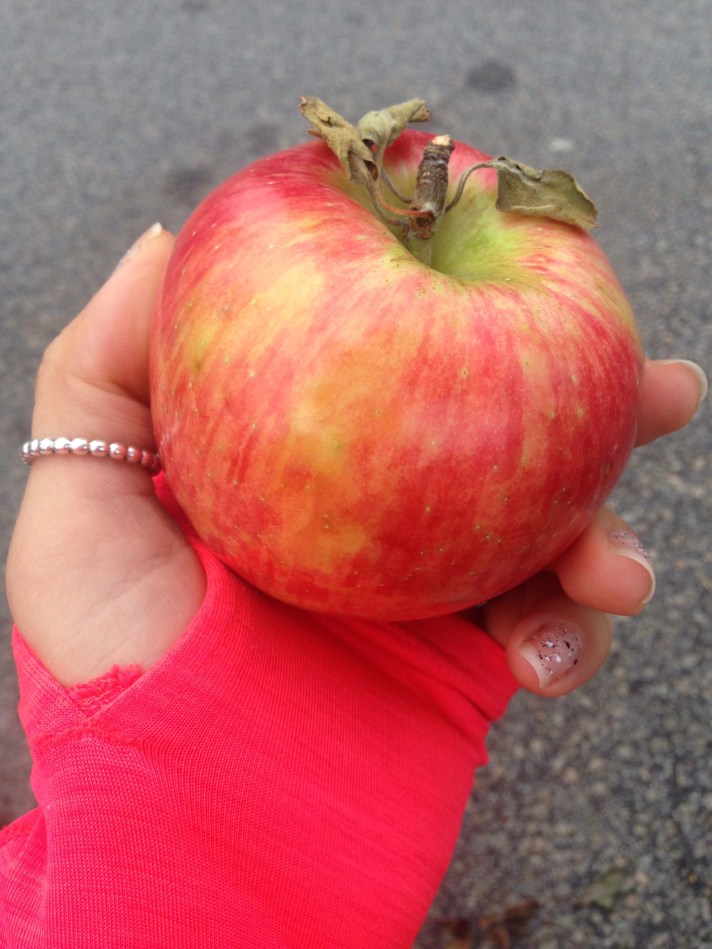 Love, or Obedience? - Aubrey Eicher